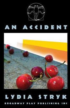 Paperback An Accident Book