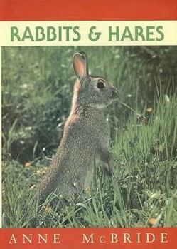 Paperback Rabbits and Hares Book