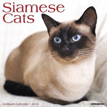 Siamese Cats 2019 Wall Calendar