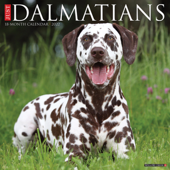 Calendar Just Dalmatians 2022 Wall Calendar (Dog Breed) Book
