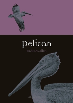 Paperback Pelican Book