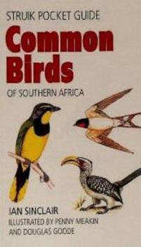 Paperback Common Birds of Southern Africa (Struik Pocket Guides) Book