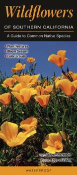 Pamphlet Wildflowers of Southern California: A Guide to Common Native Species Book