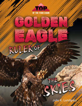 Golden Eagle: Ruler of the Skies (TOP of the Food Chain)