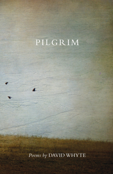 Paperback Pilgrim (Revised) (Revised) Book
