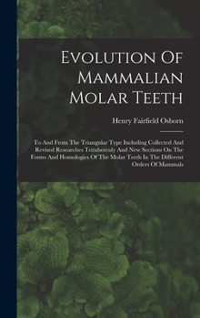 Hardcover Evolution Of Mammalian Molar Teeth: To And From The Triangular Type Including Collected And Revised Researches Trituberculy And New Sections On The Fo Book