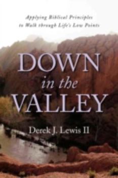 Paperback Down in the Valley Book