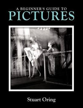 Paperback A Beginner's Guide to Pictures Book