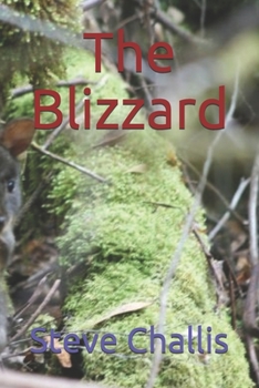 Paperback The Blizzard Book