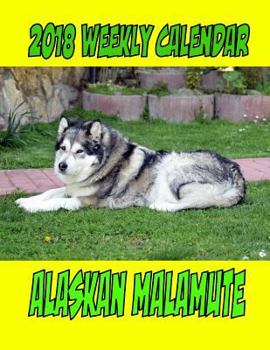 2018 Weekly Calendar Alaskan Malamute