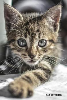 Paperback Cat Notebook: 6x 9 Lined Notebook- Cat Composition Notebook- Journal And Diary-100 Pages (Volume 41) Book