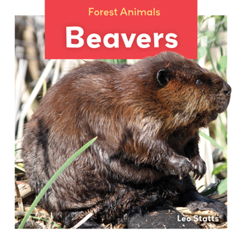 Library Binding Beavers Book