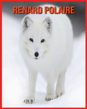 Renard Polaire: D�couvrez les Renard Polaire et Admirez des Images Color�es