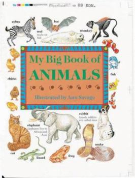 Hardcover My Big Book of Animals Book