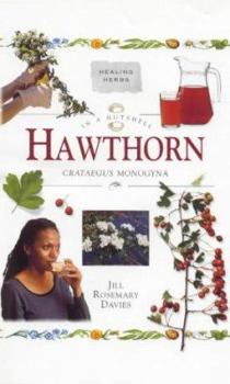 Hardcover Hawthorn: In a Nutshell Book
