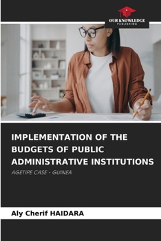 Paperback Implementation of the Budgets of Public Administrative Institutions Book
