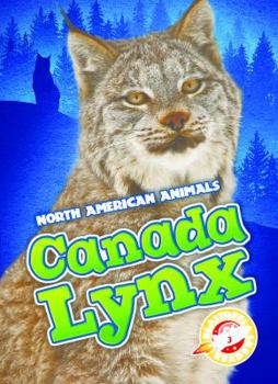 Canada Lynx - Book  of the North American Animals