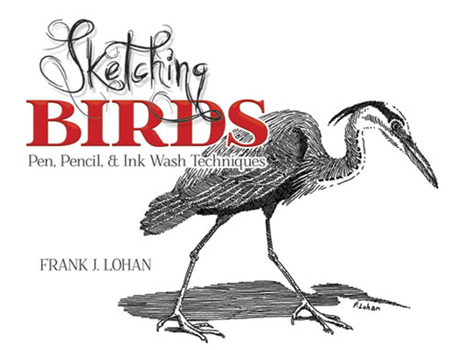 Paperback Sketching Birds: Pen, Pencil, and Ink Wash Techniques Book