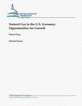 Paperback Natural Gas in the U.S. Economy: Opportunities for Growth Book