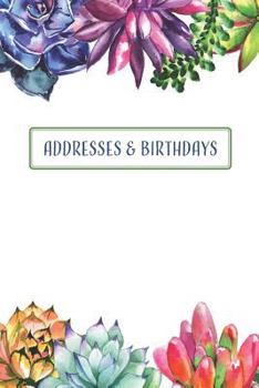 Paperback Addresses & Birthdays: Watercolor Succulents Book