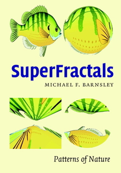Hardcover Superfractals Book