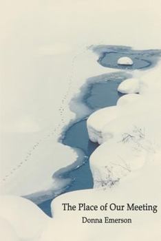 Paperback The Place of Our Meeting Book