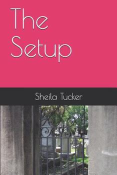 Paperback The Setup Book
