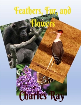 Paperback Feathers, Fur, and Flowers Book