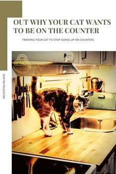 OUT WHY YOUR CAT WANTS tо BE ON thе COUNTER: TRAINING YOUR CAT tо STOP GOING UP ON COUNTERS