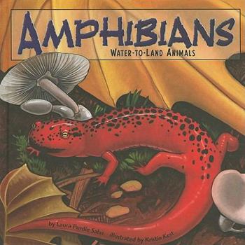 Hardcover Amphibians: Water-To-Land Animals Book