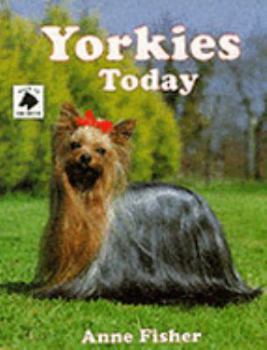 Hardcover Yorkies Today Book