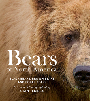 Paperback Bears of North America: Black Bears, Brown Bears, and Polar Bears Book