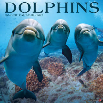 Calendar Dolphins 2023 Wall Calendar Book