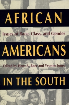 Paperback African Americans in the South: Issues of Race, Class, and Gender Book