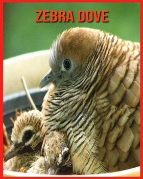 Paperback Zebra Dove: Amazing Facts about Zebra Dove Book