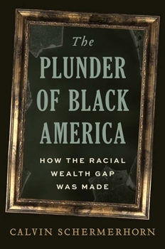 Hardcover The Plunder of Black America: How the Racial Wealth Gap Was Made Book