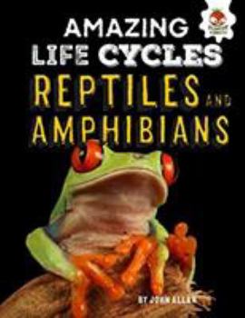 Paperback Reptiles and Amphibians - Amazing Life Cycles Book