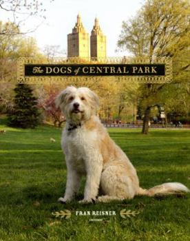 Hardcover The Dogs of Central Park Book