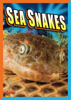Library Binding Sea Snakes Book