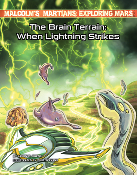 Library Binding The Brain Terrain: When Lightning Strikes Book