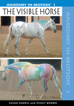 DVD Anatomy in Motion 1: The Visible Horse Book