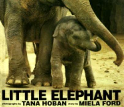 Hardcover Little Elephant Book