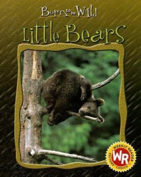 Little Bears (Born to Be Wild) - Book  of the Born to be Wild