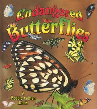Paperback Endangered Butterflies Book