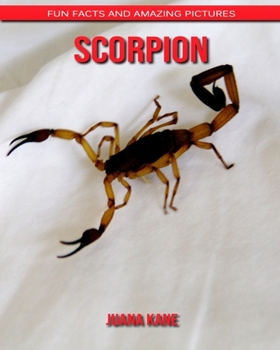 Scorpion: Fun Facts and Amazing Pictures
