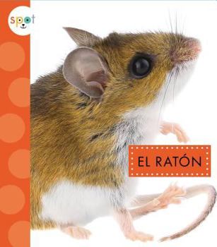 Library Binding El Ratón [Spanish] Book
