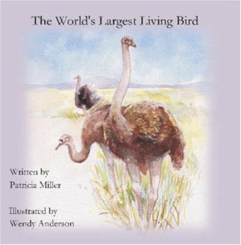 Paperback the World's Largest Living Bird: Wild Ostriches Book