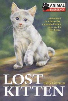 Paperback Animal Emergency #6: Lost Kitten Book