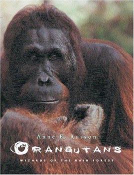 Hardcover Orangutans: Wizards of the Rain Forest Book