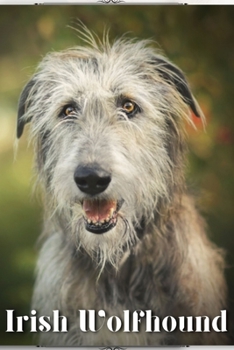 Paperback Irish Wolfhound: Dog breed overview and guide Book
